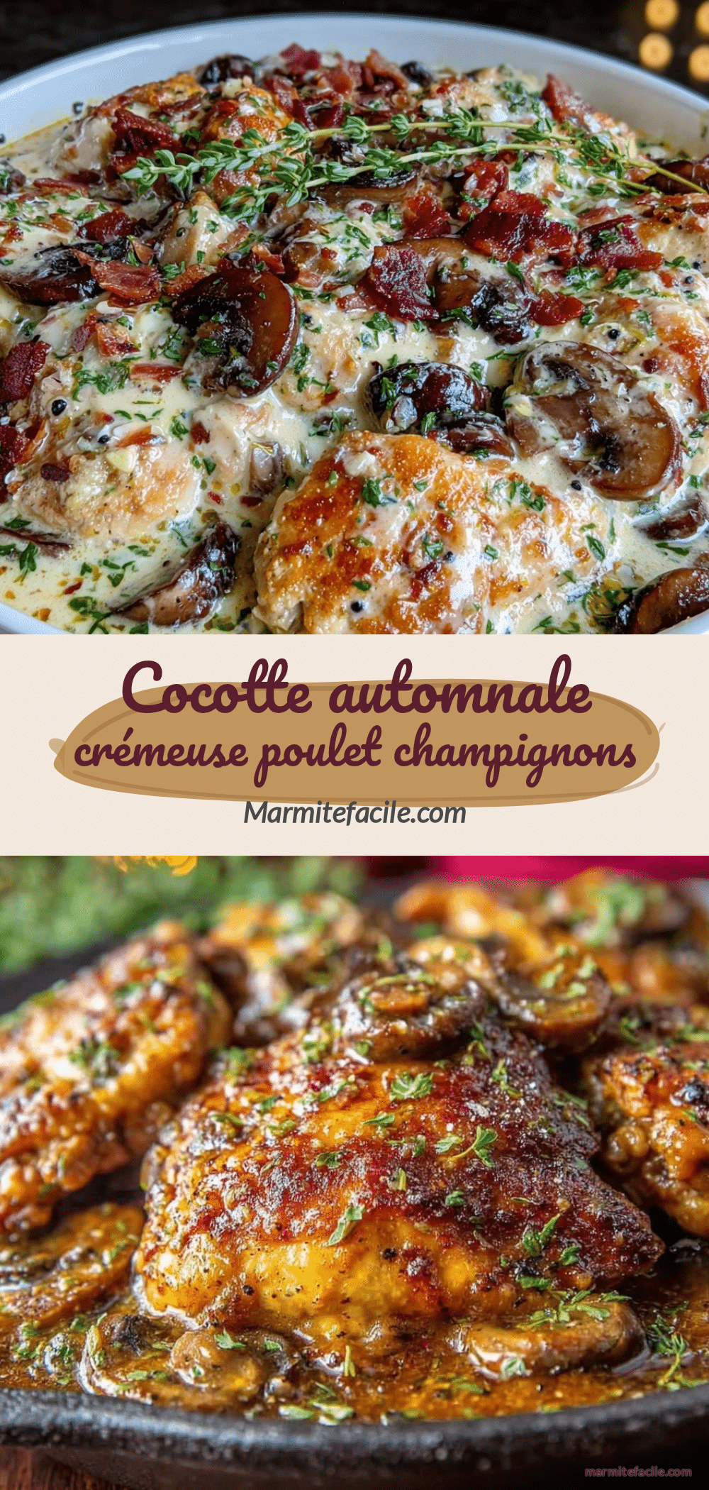 cocotte automnale de poulet aux champignons et thym recipe