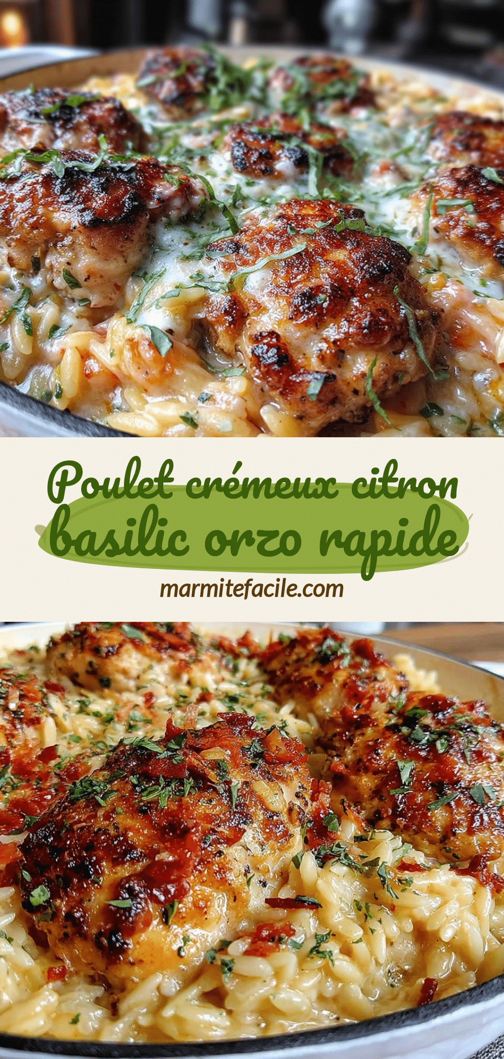 poulet crémeux citron basilic orzo recipe