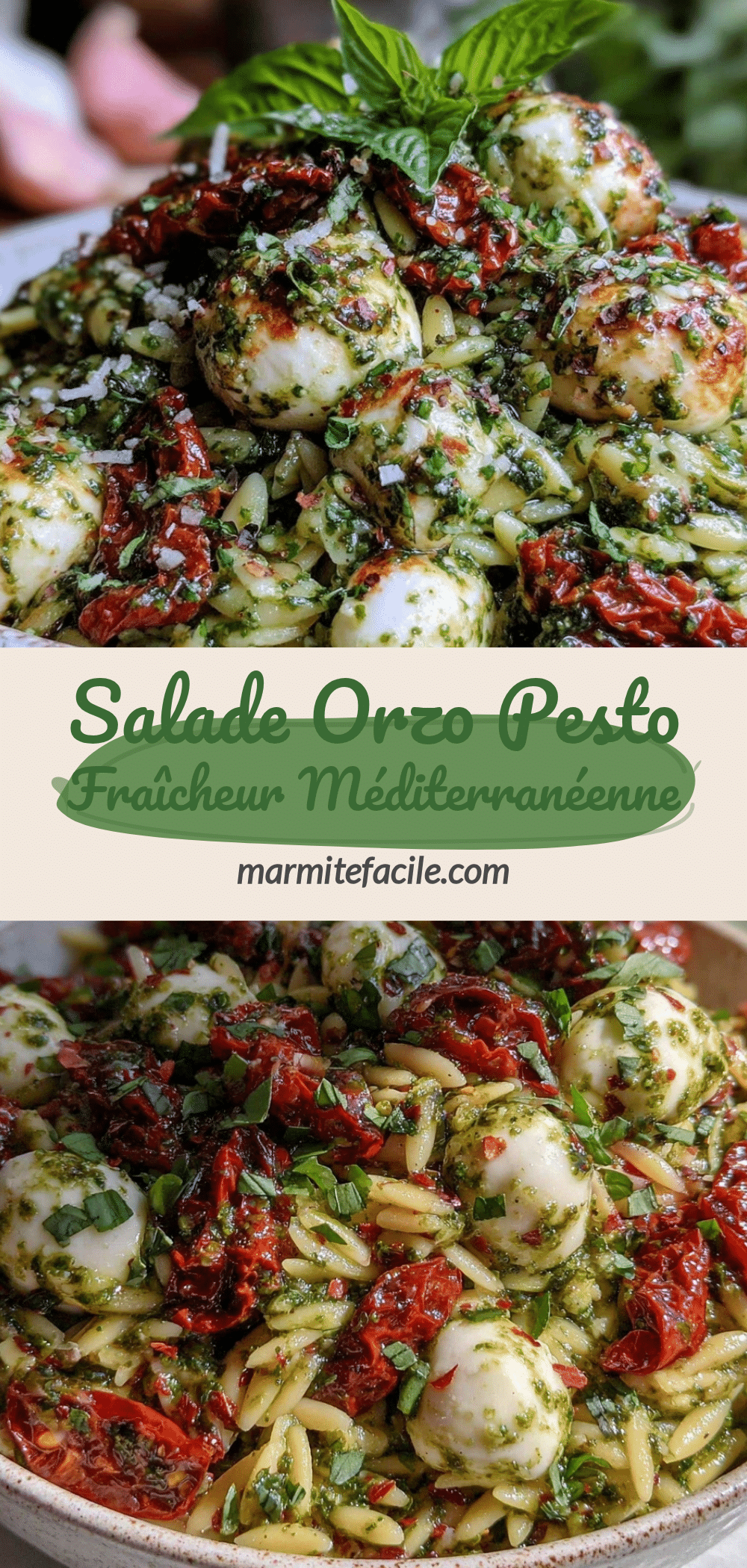 salade orzo pesto méditerranéenne recipe
