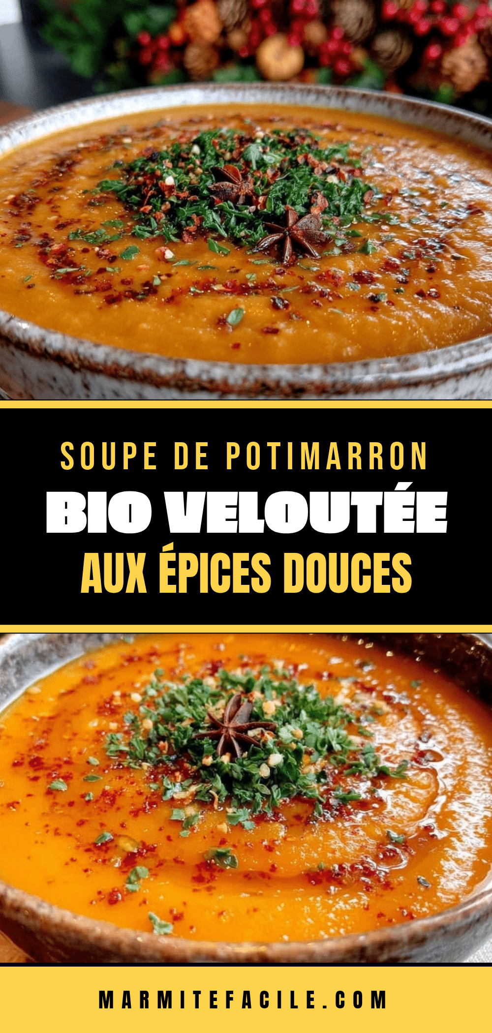 veloutée soupe de potimarron bio aux épices douces recipe