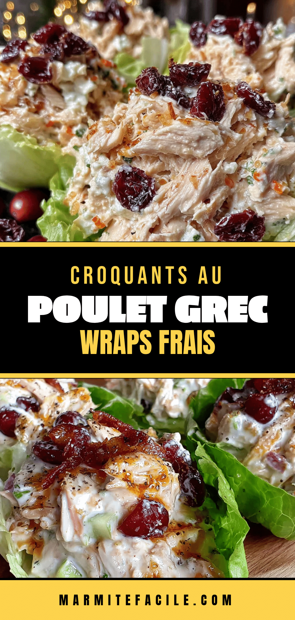 wraps croquants au poulet grec recipe